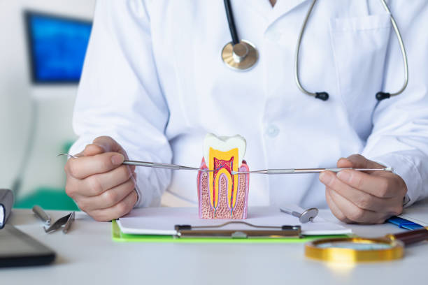 Best Emergency Cosmetic Dentistry in Mount Vernon, IN